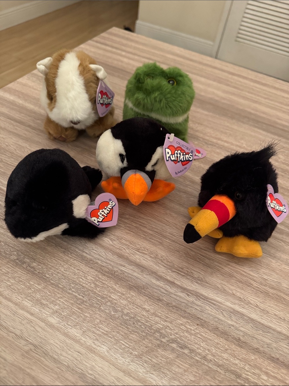 Puffkins Plush Small Pet Toy Assortment - Black, Green, Brown, Orange Set of 5.
